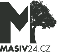 Masiv24