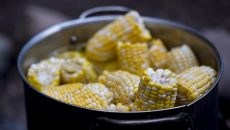 3 tipy, jak uvařit kukuřici jako šéfkuchař