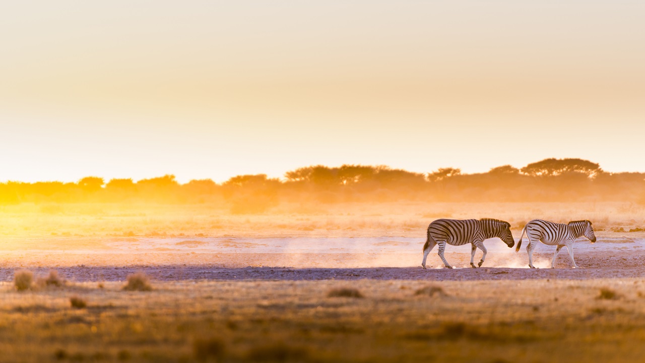 Dovolená Botswana | © THPStock | Dreamstime.com