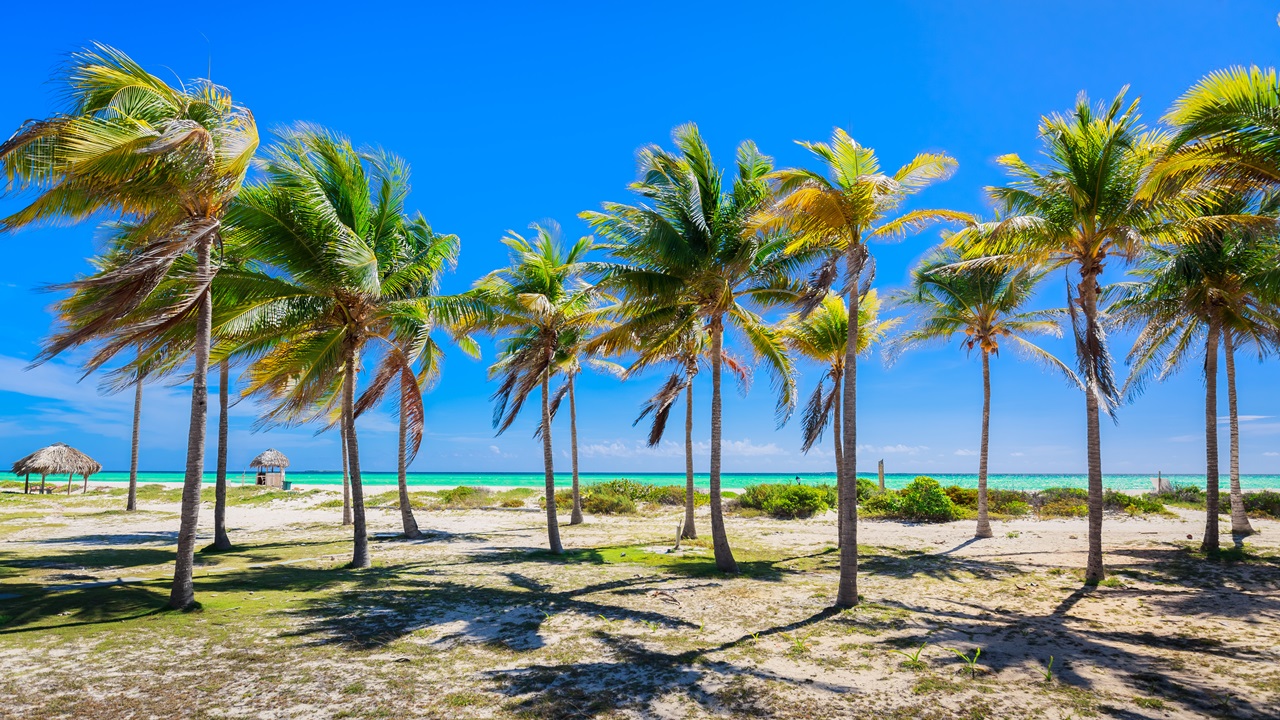 Dovolená Cayo Coco | © Vitaldrum | Dreamstime.com