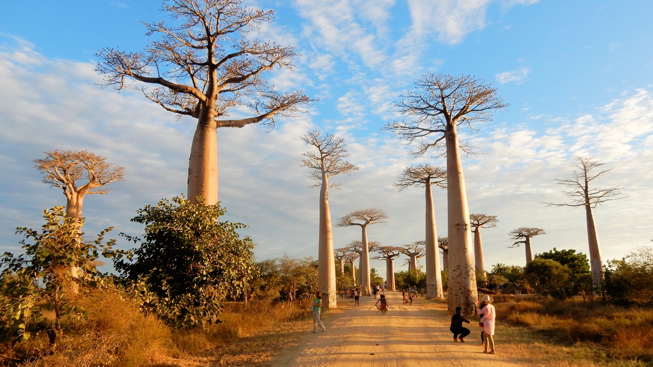 Dovolená Madagaskar | © Ghm Meuffels | Dreamstime.com