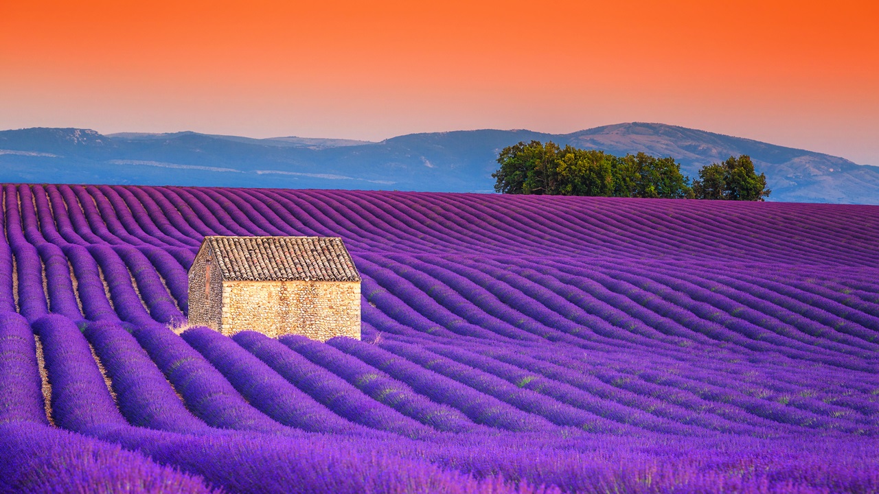 Dovolená Provence | © Janos Gaspar | Dreamstime.com