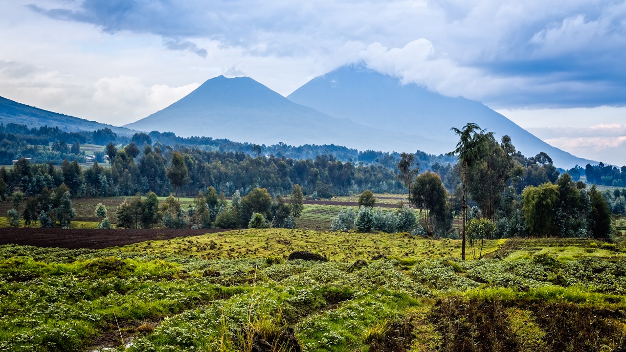 Dovolená Rwanda | © Vadim Nefedov | Dreamstime.com