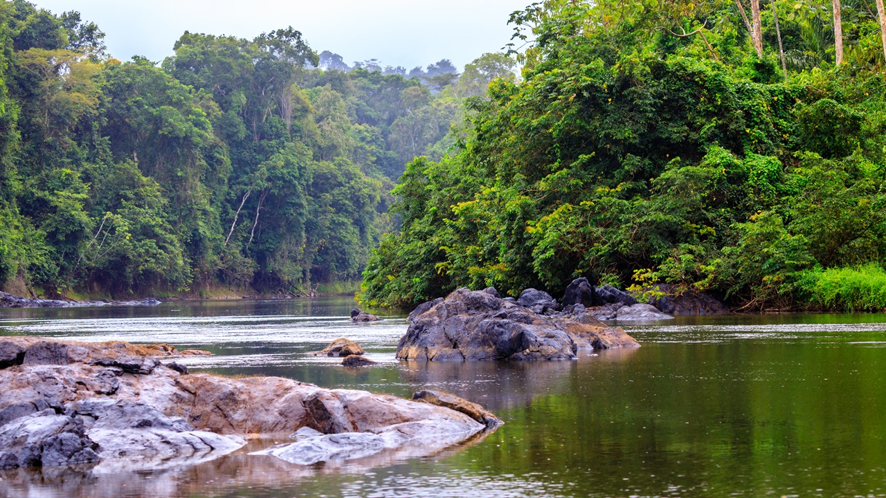 Dovolená Surinam | © Henricus Holtslag  Dreamstime.com