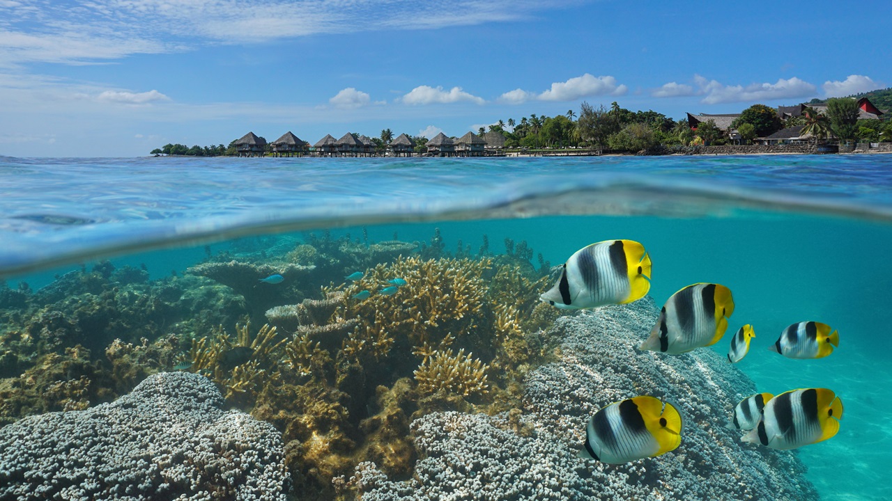 Dovolená Tahiti | © Seadam | Dreamstime.com