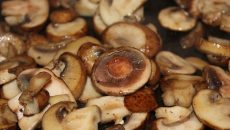 Jak dlouho vařit houby