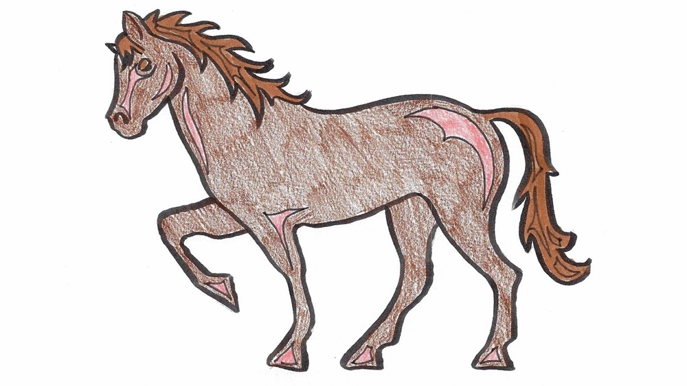 Jak nakreslit koně