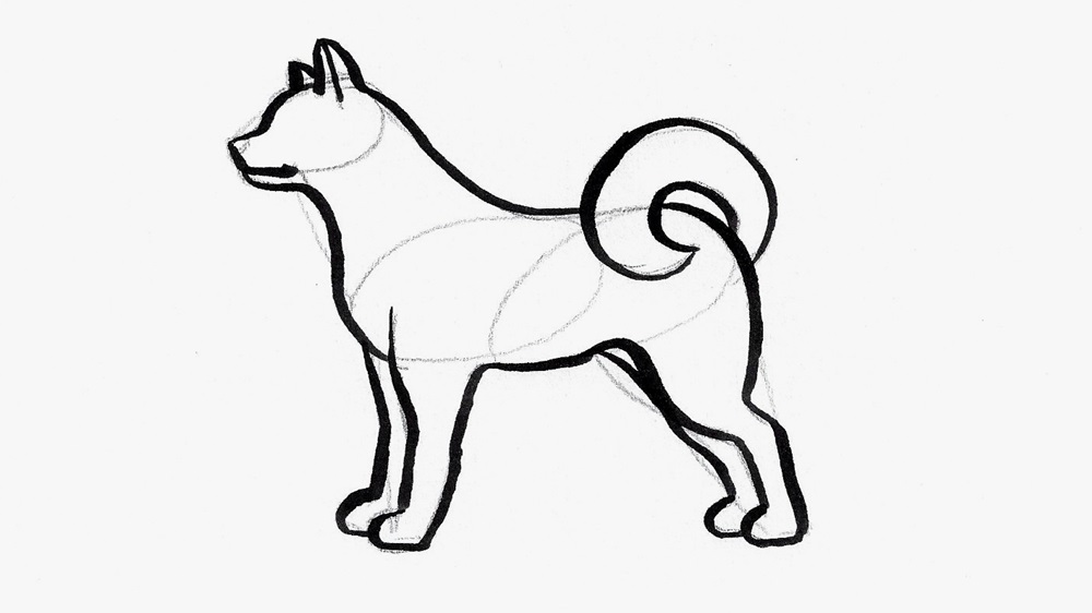 Jak nakreslit psa