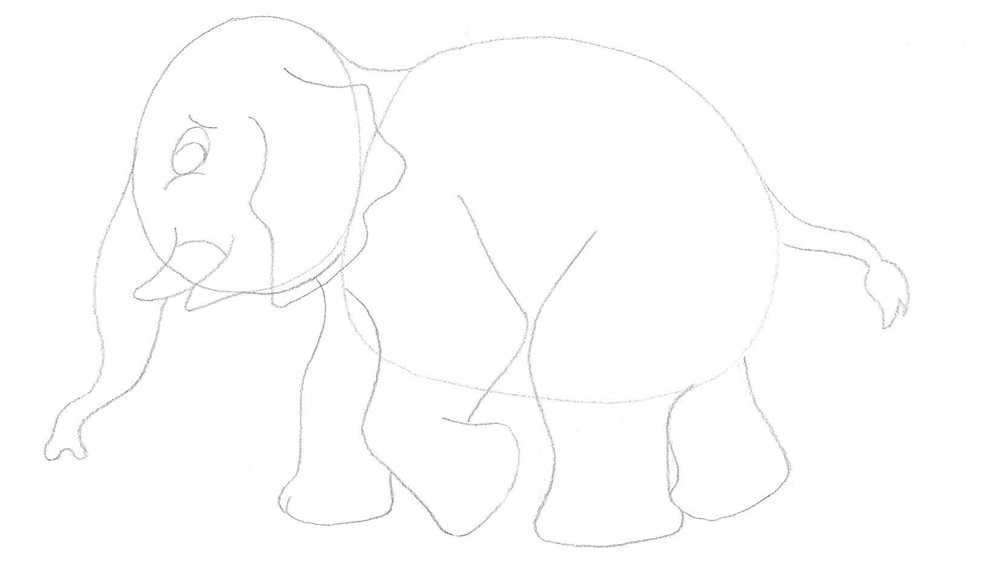 Jak nakreslit slona