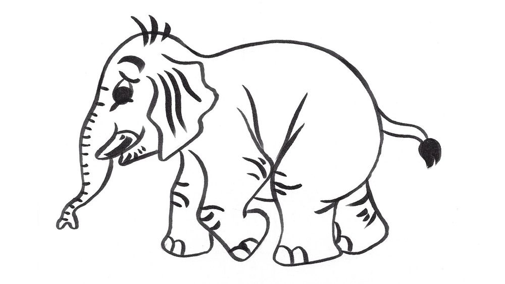 Jak nakreslit slona