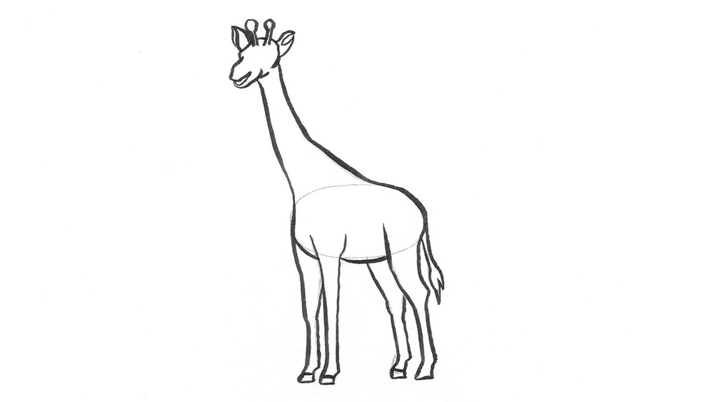 Jak nakreslit žirafu