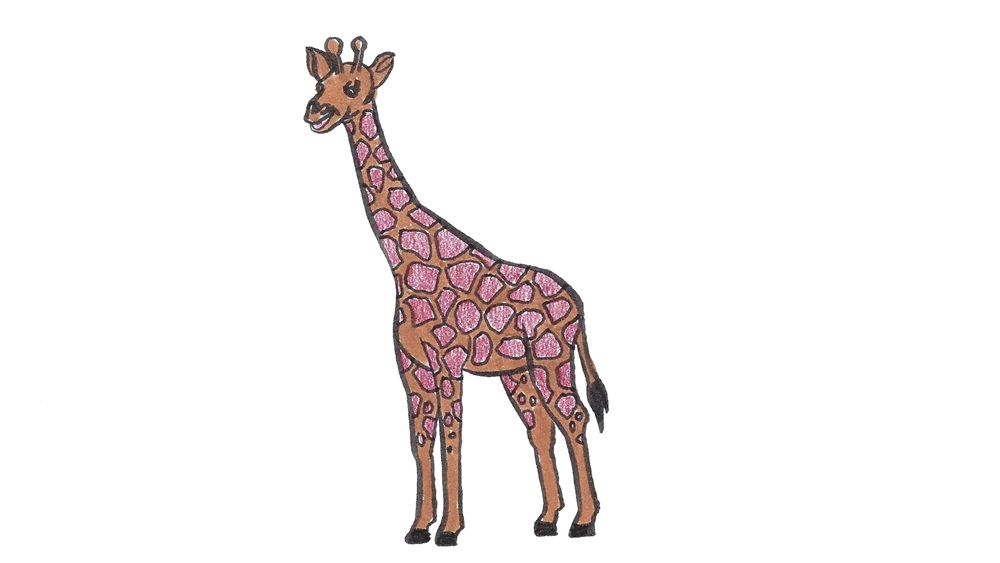 Jak nakreslit žirafu