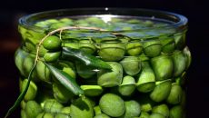 Jak naložit olivy