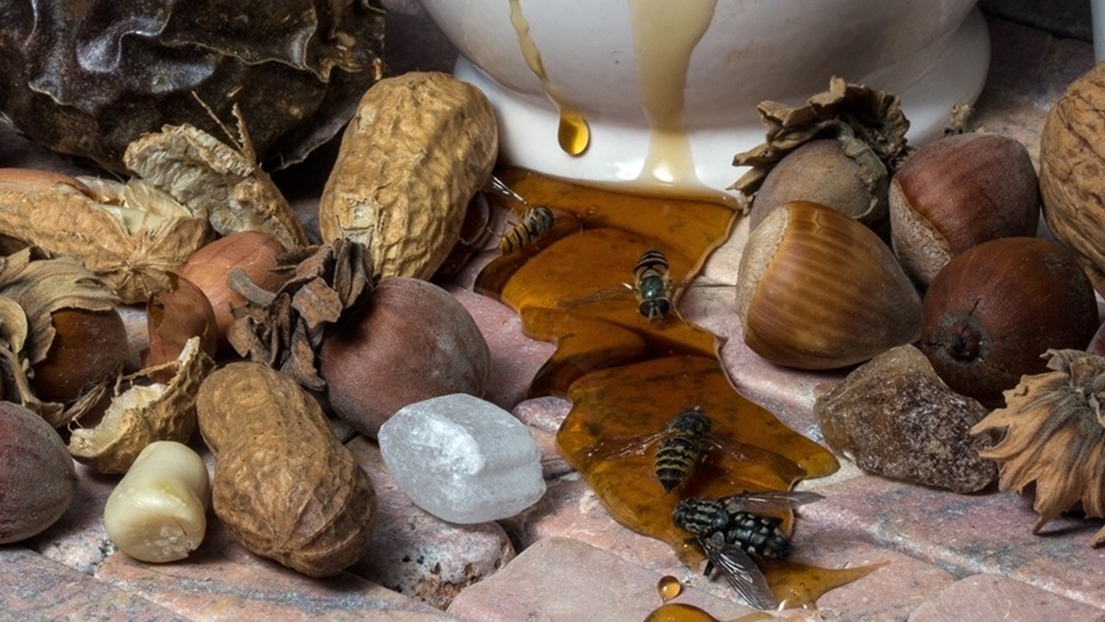 Jak naložit ořechy do medu