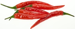 Jak pěstovat chilli