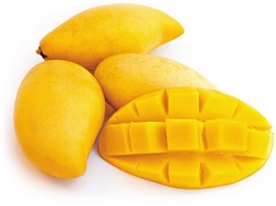 Jak pěstovat mango
