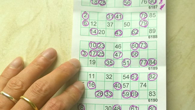 Jak se hraje bingo Jak se hraje bingo