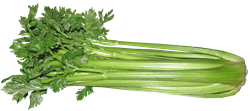 Jak uvařit celer