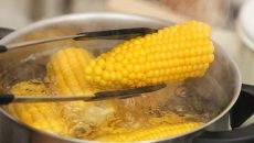 Jak uvařit kukuřici
