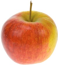 Jak vyrobit jablečný ocet