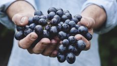 Jak využít hroznové víno
