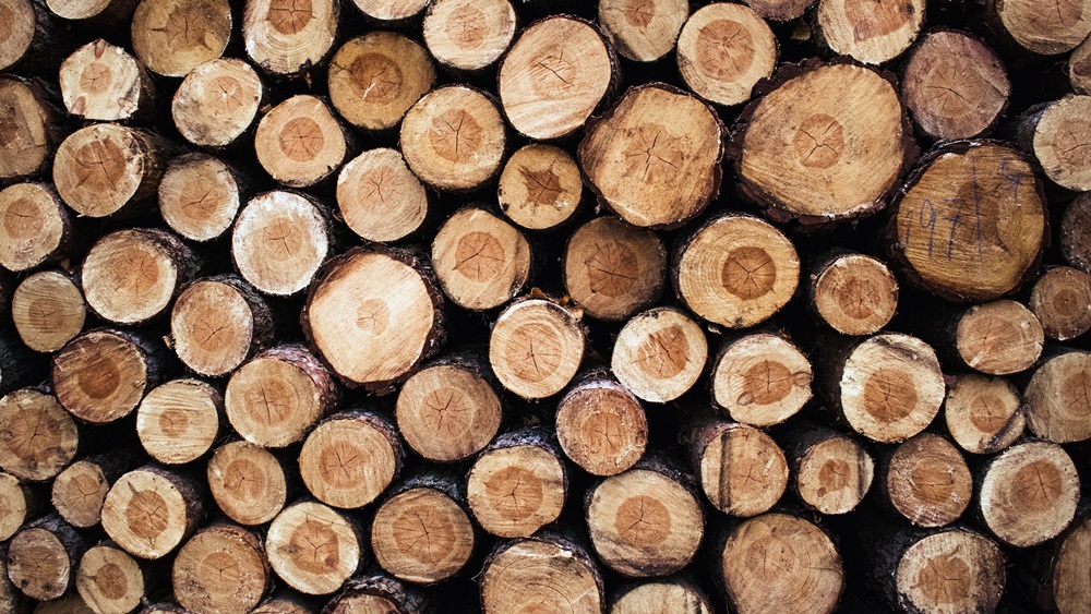 Dřevo na topení → Kde ho získat levně, nebo zdarma