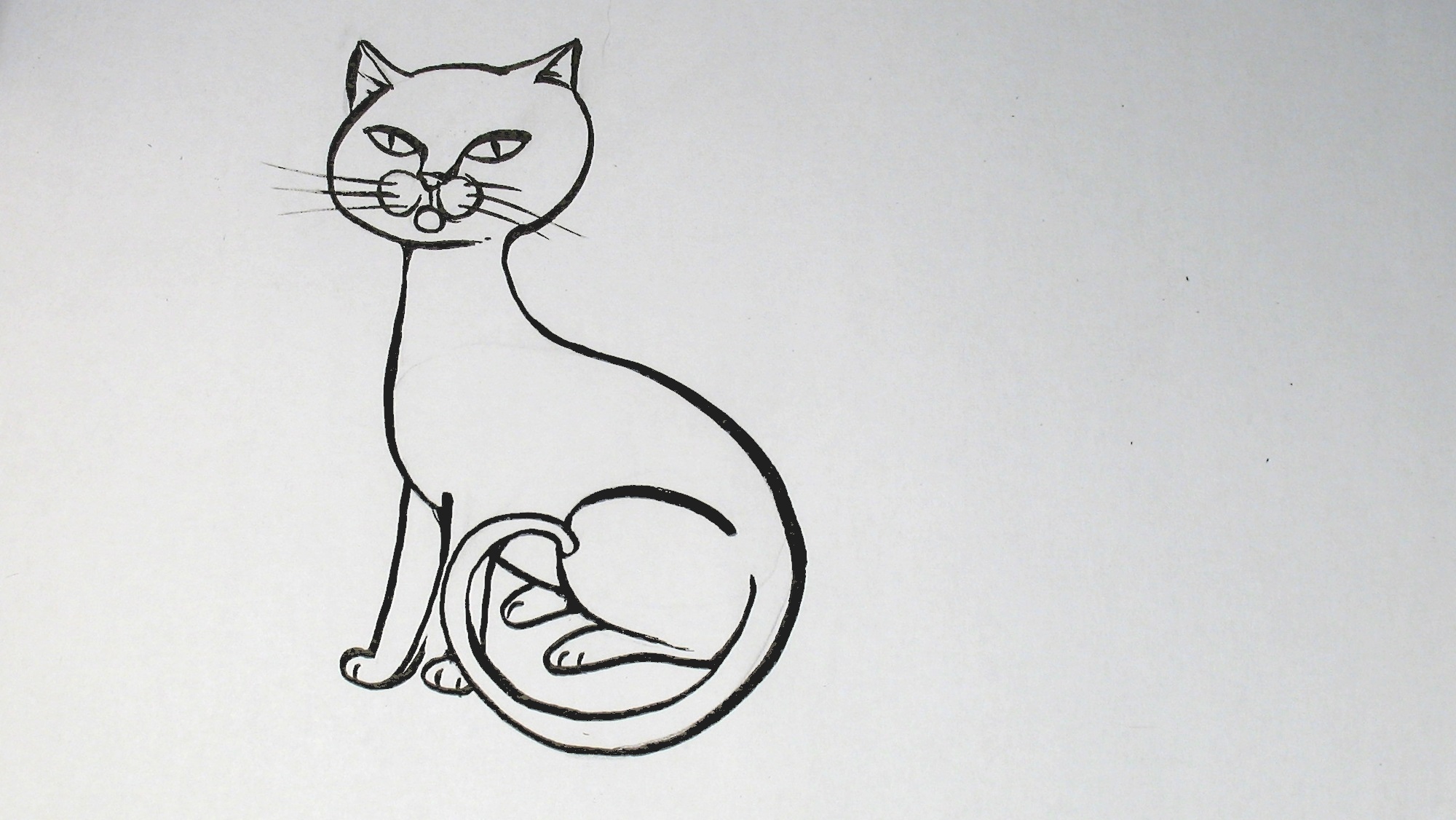 Jak nakreslit kočku