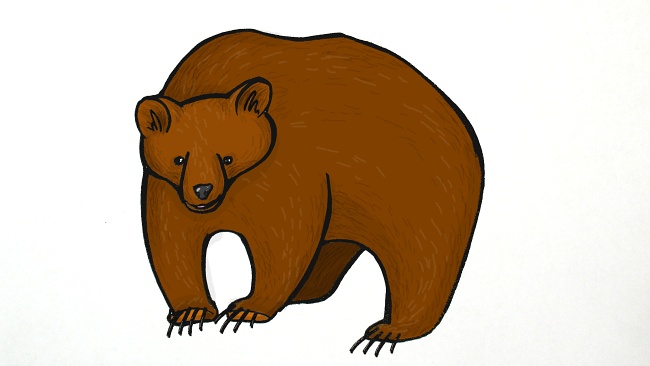 Jak nakreslit medvěda