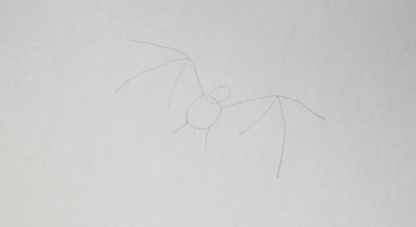 Jak nakreslit netopýra