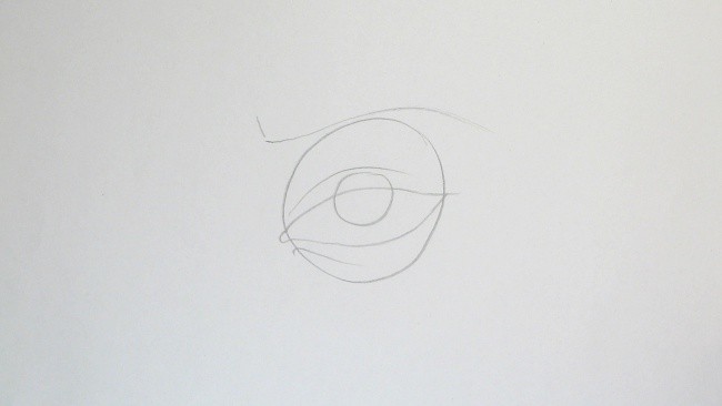 Jak nakreslit oko