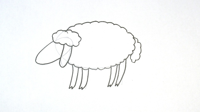 Jak nakreslit ovci