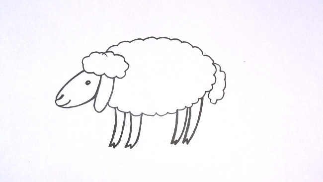 Jak nakreslit ovci