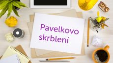 Pavelkovo skrblení 118: Pardubické letiště