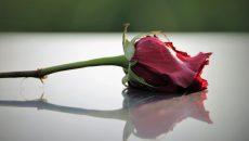 Pohřebné 2026: Nárok, kde žádat, formulář