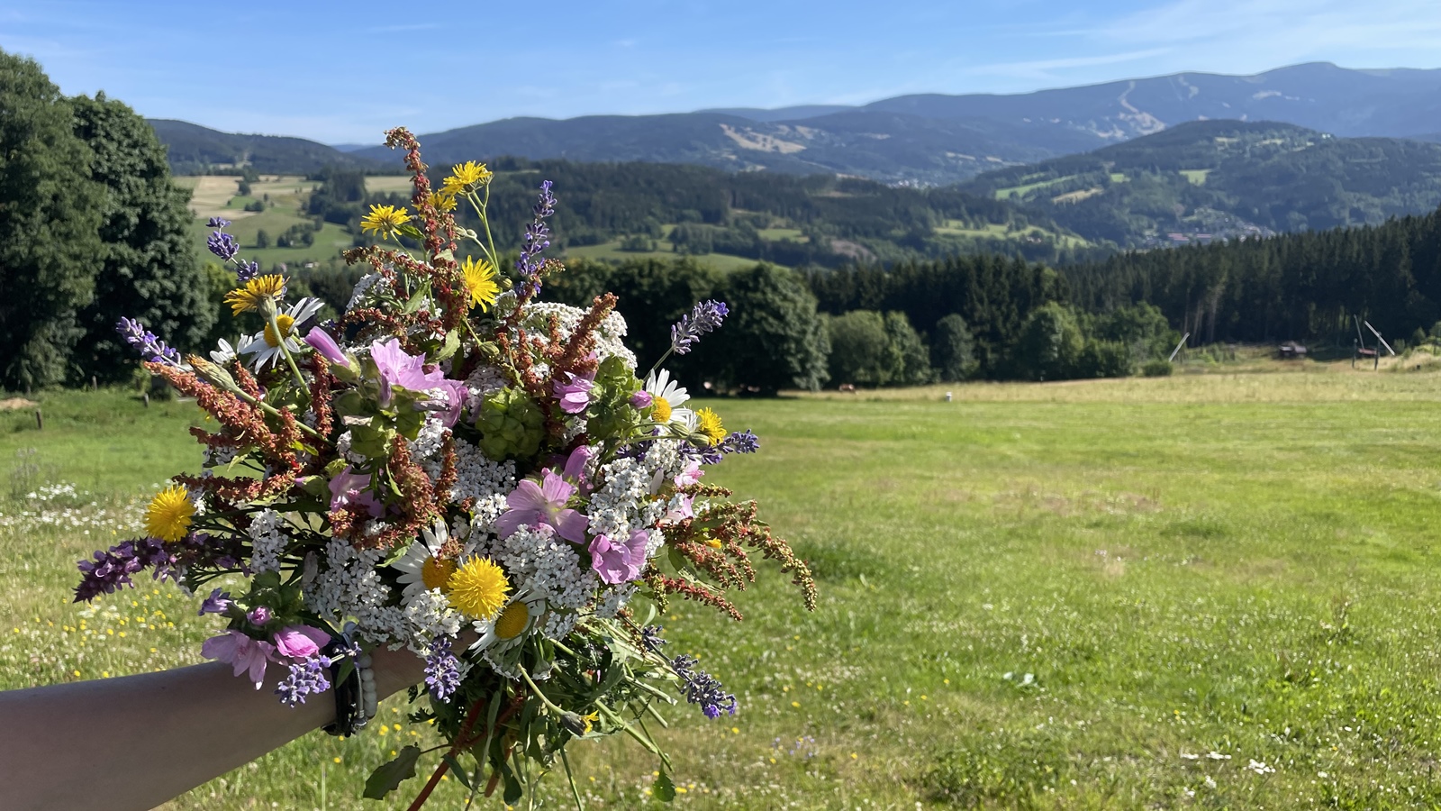 Recenze bezKempu: Airbnb pro glamping po celém Česku