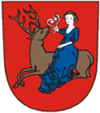 Znak města Rychnov nad Kněžnou