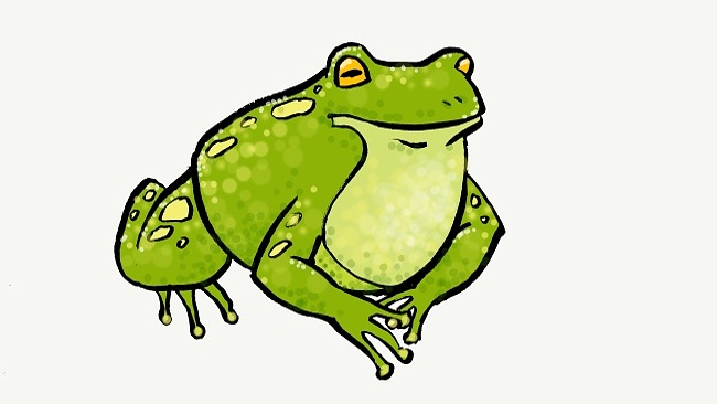 Jak nakreslit žábu