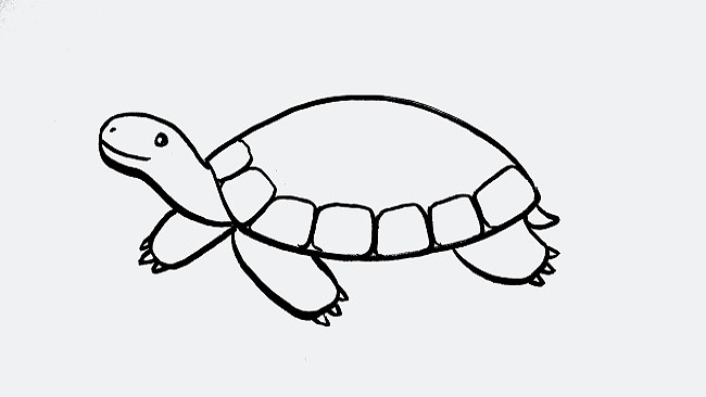 Jak nakreslit želvu
